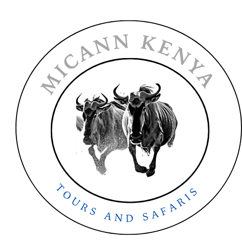 Micann Kenya Tours and Safaris