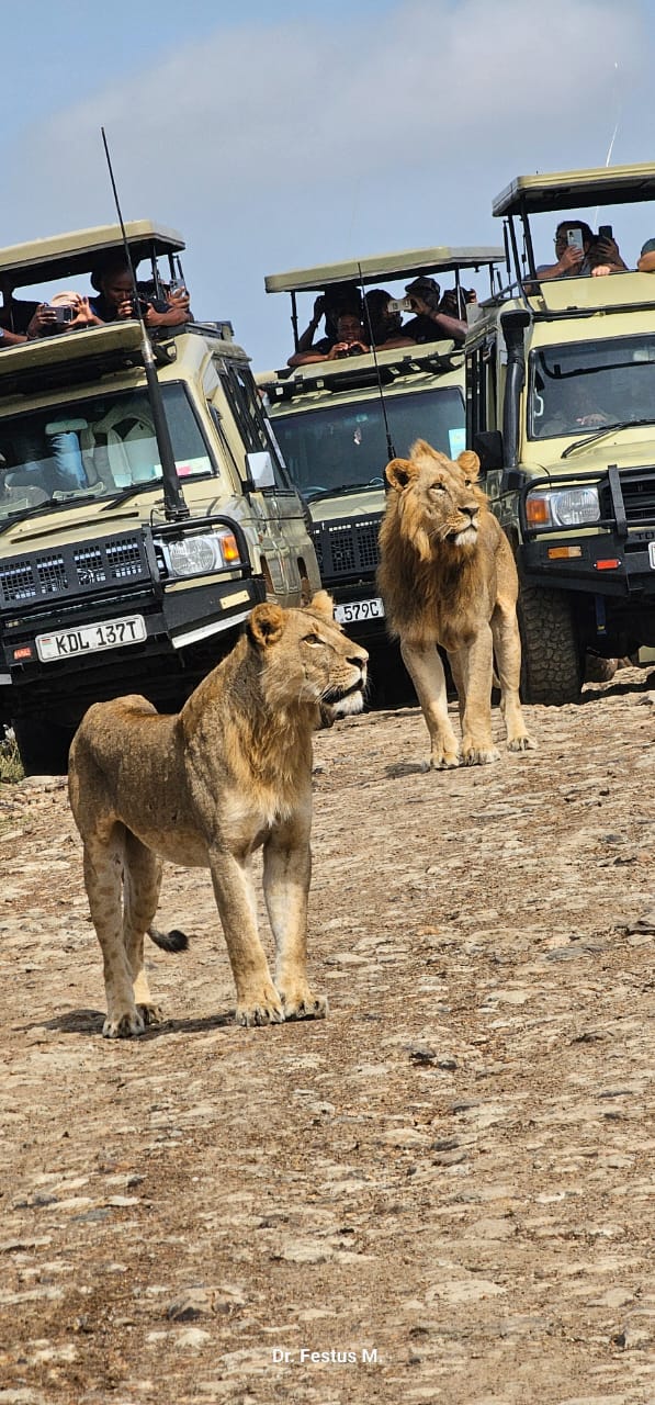Micann Kenya Tours and Safaris
