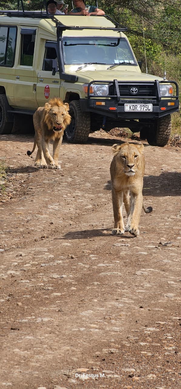 Micann Kenya Tours and Safaris