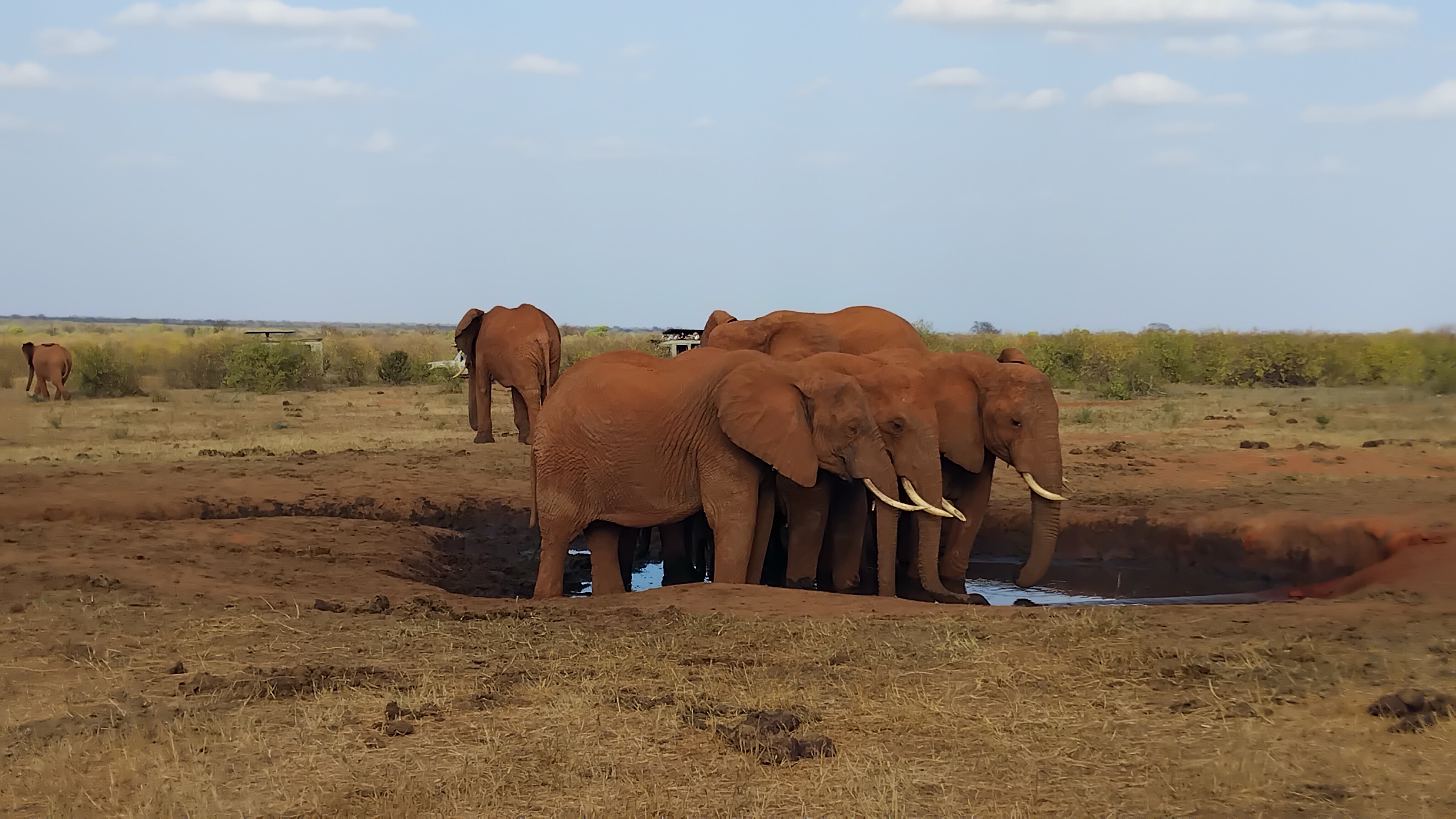 Micann Kenya Tours and Safaris