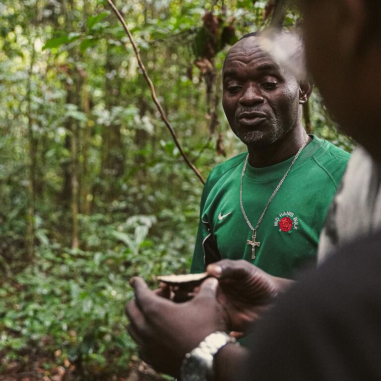 Visit Gabon