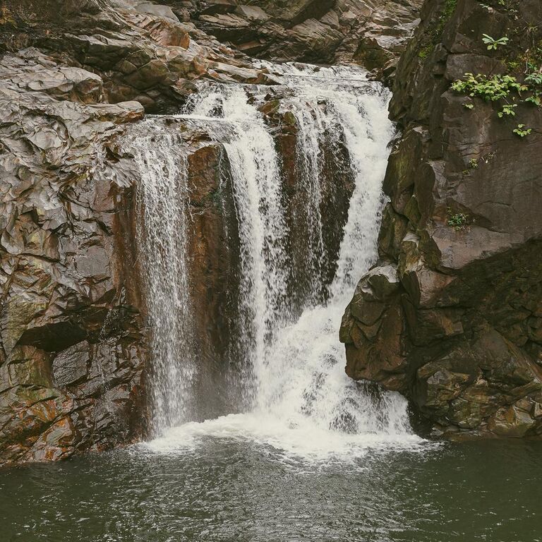 Visit Gabon