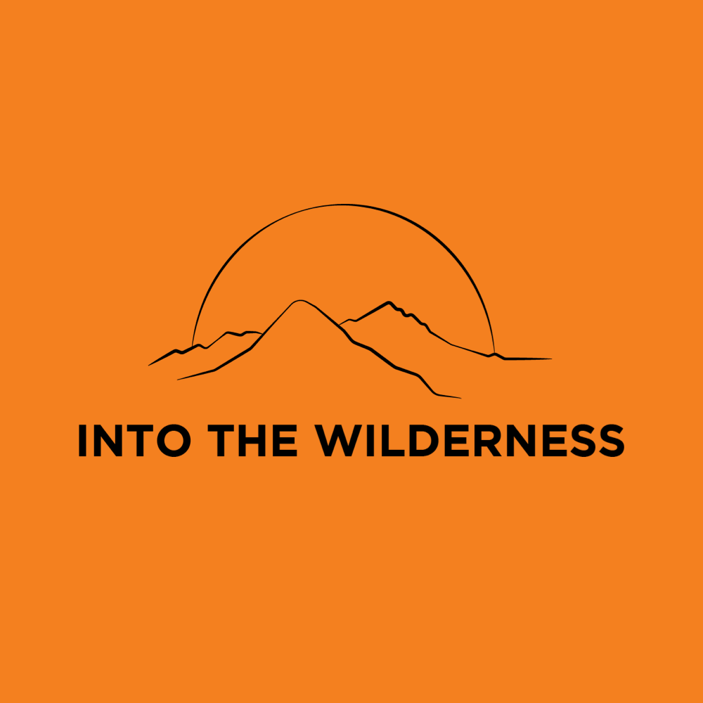 Into the Wilderness