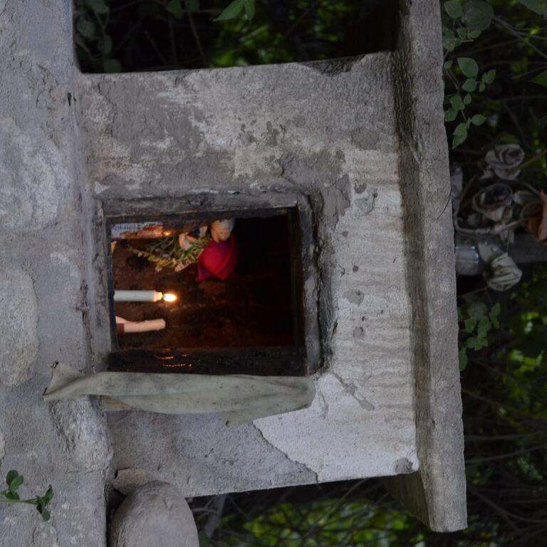 Pata de Suri