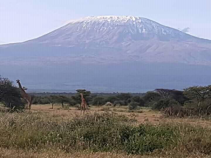 AfricanConnect Tours and Safaris