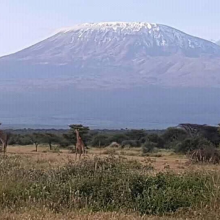AfricanConnect Tours and Safaris