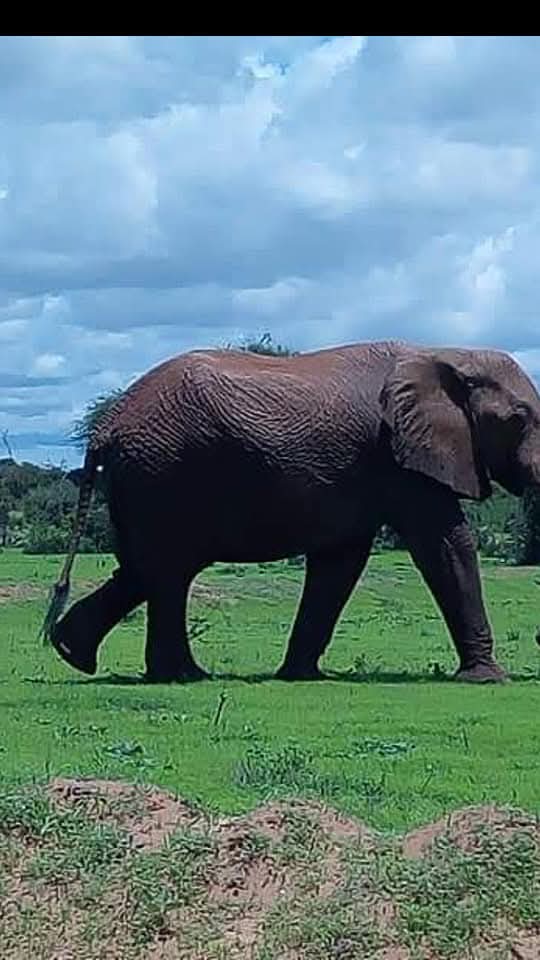 AfricanConnect Tours and Safaris