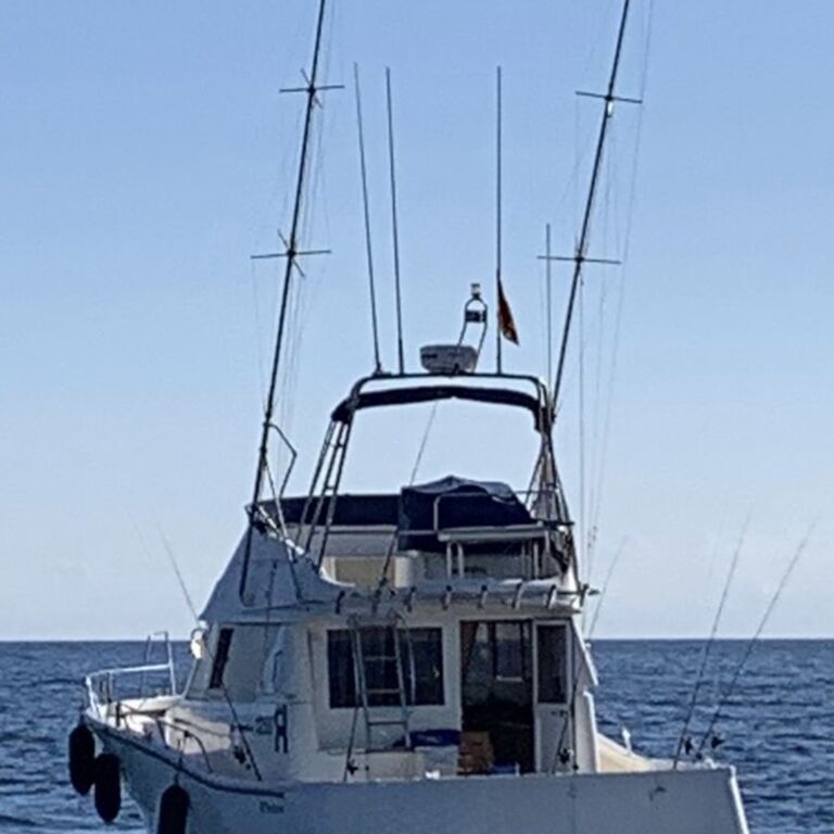 Luna fishing charters in Marbella Malaga