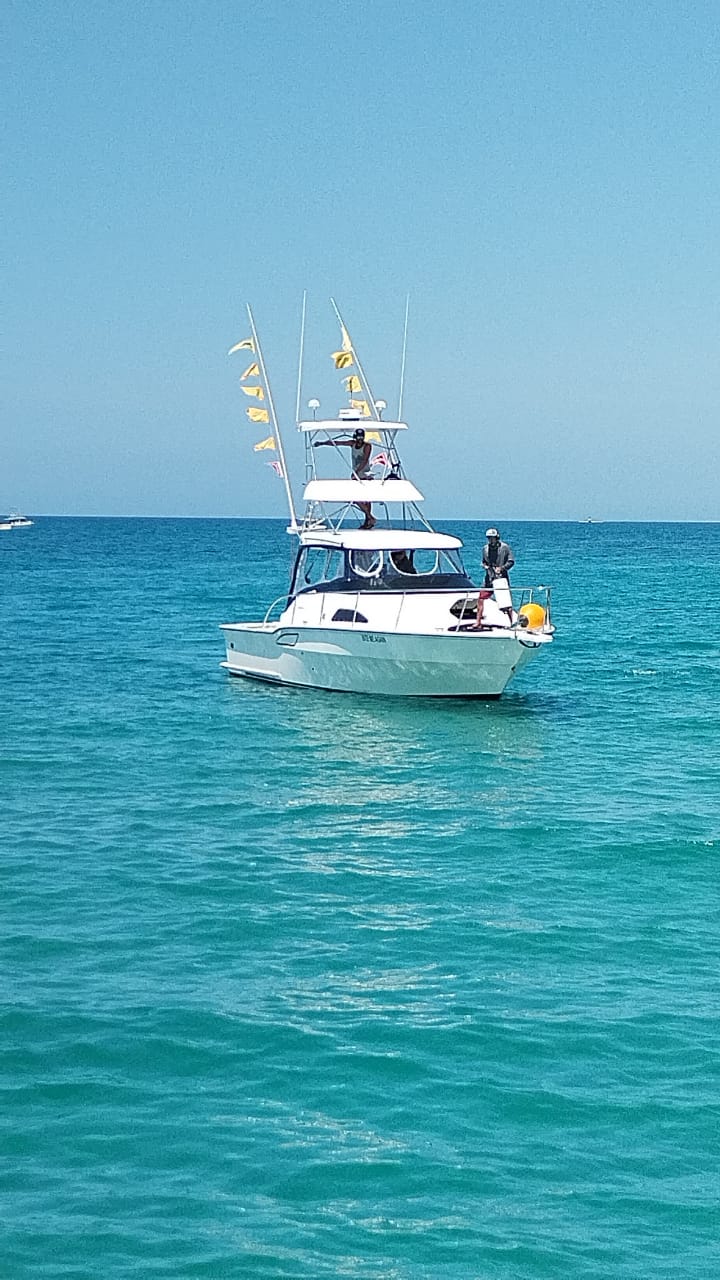 BITE ME SPORT FISHING S DE RL DE CV