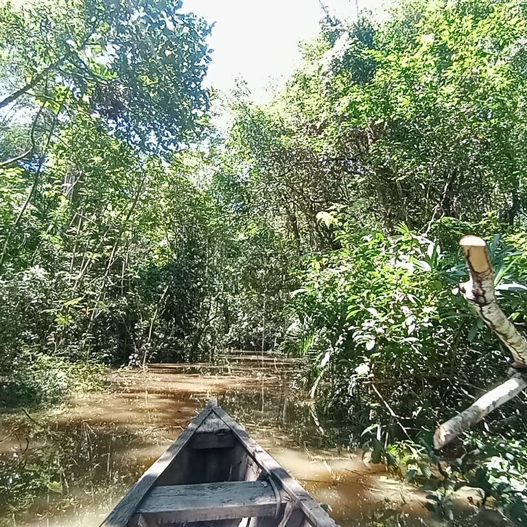 Agencia operadora de Turismo Amazonasmysteriosa