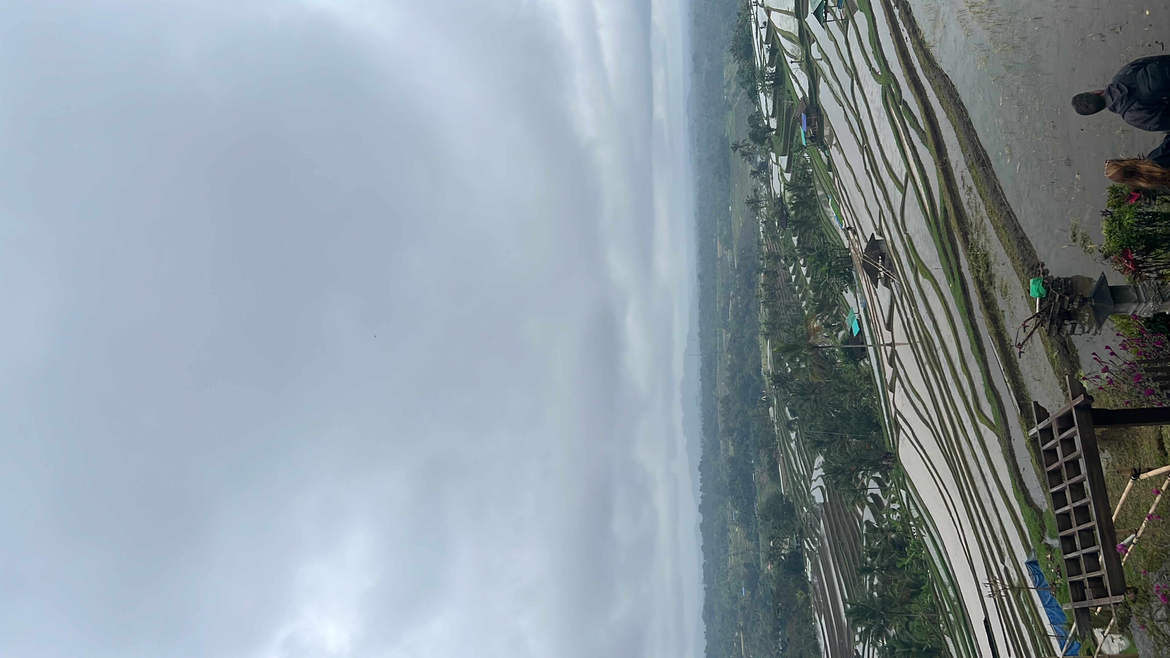 Pemuteran Nice Trip Transport