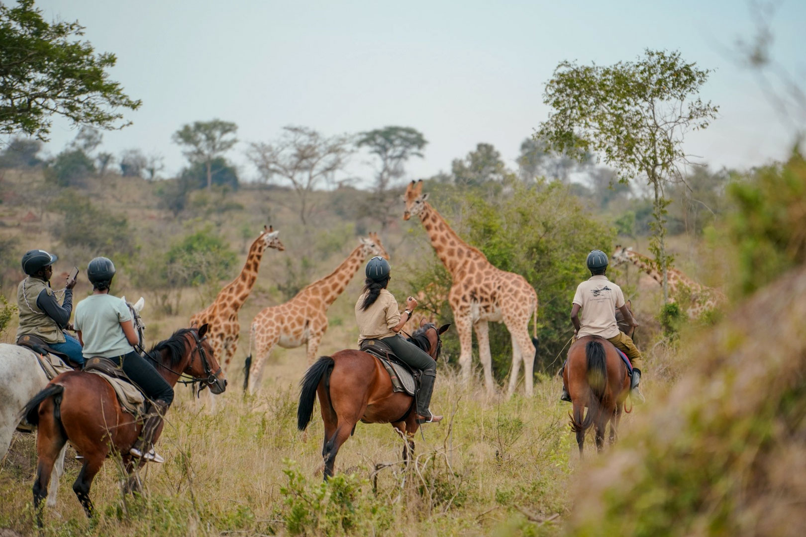 DK Safaris Uganda