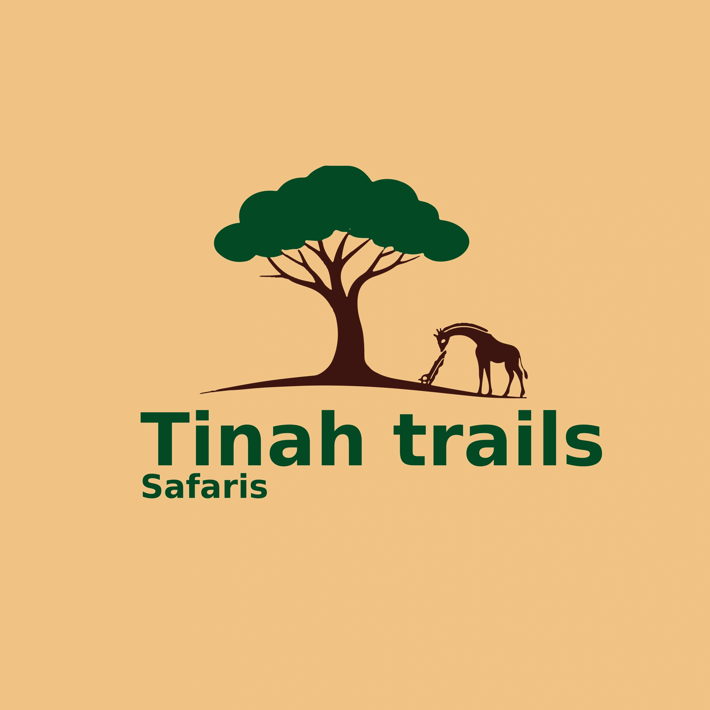 Tinah Trails Safaris