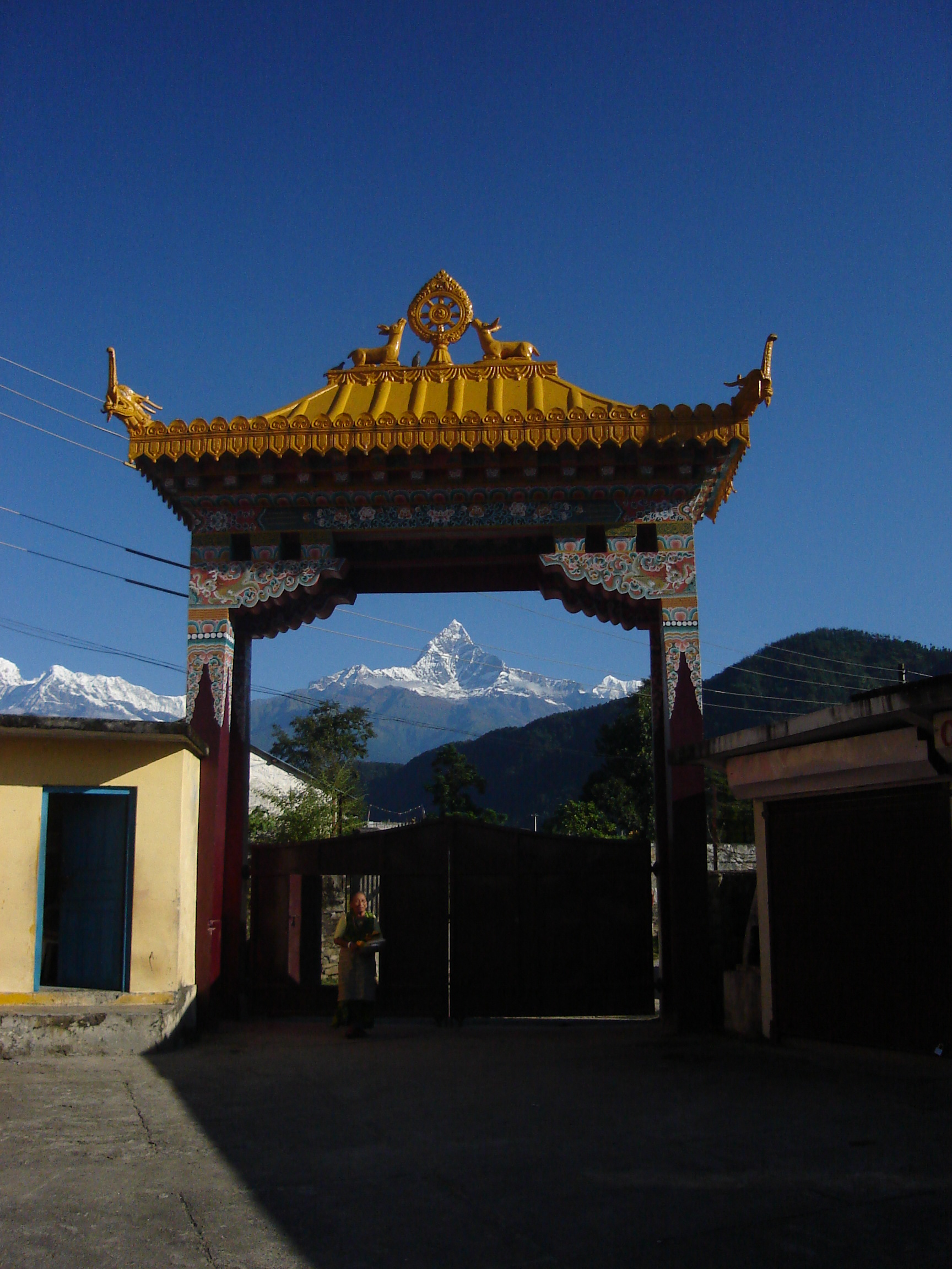https://ramharitimsina.com.np/
