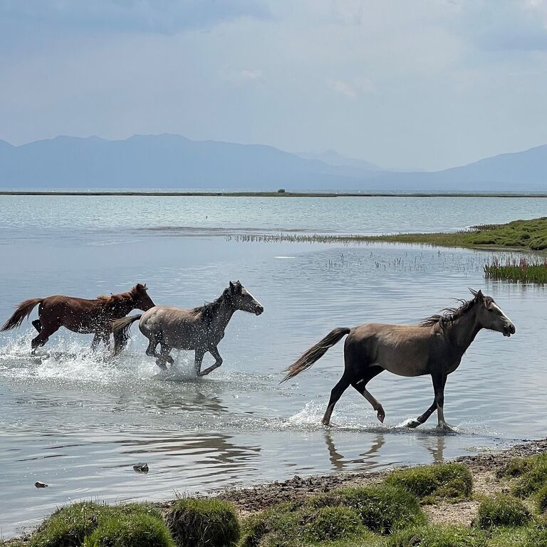 Kyrgyzstan Wonders