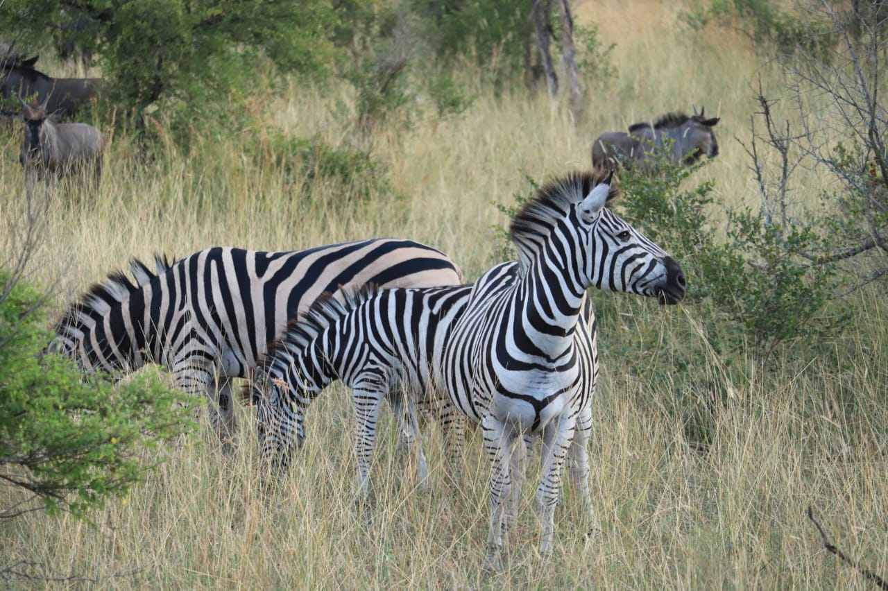 Ultimate Victory Tours