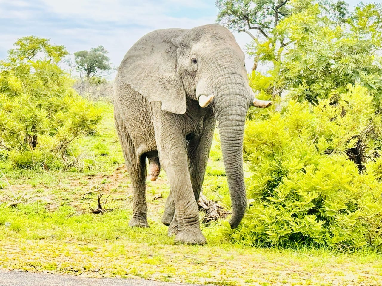 Ultimate Victory Tours