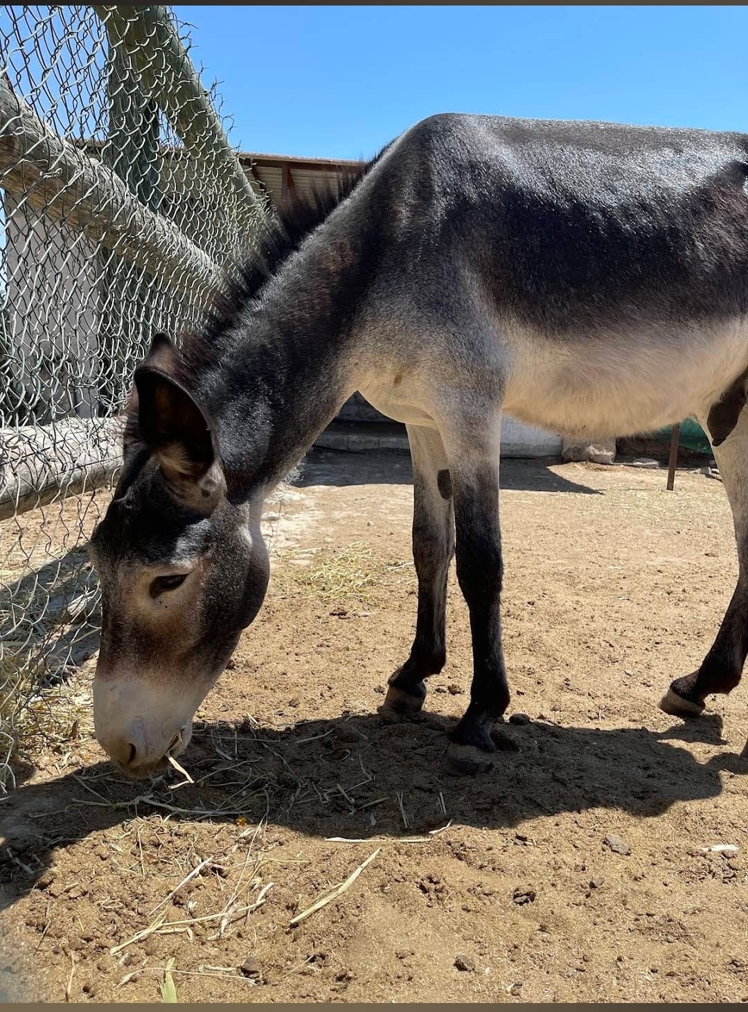 oleastro organic olive mill museum park