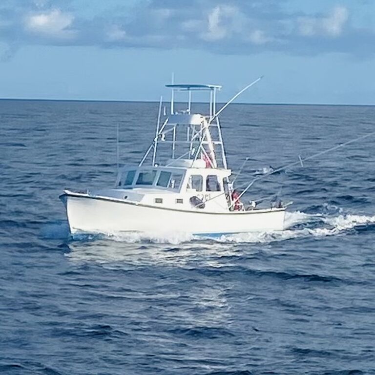 Sea Wolfe Sportfishing  Charters