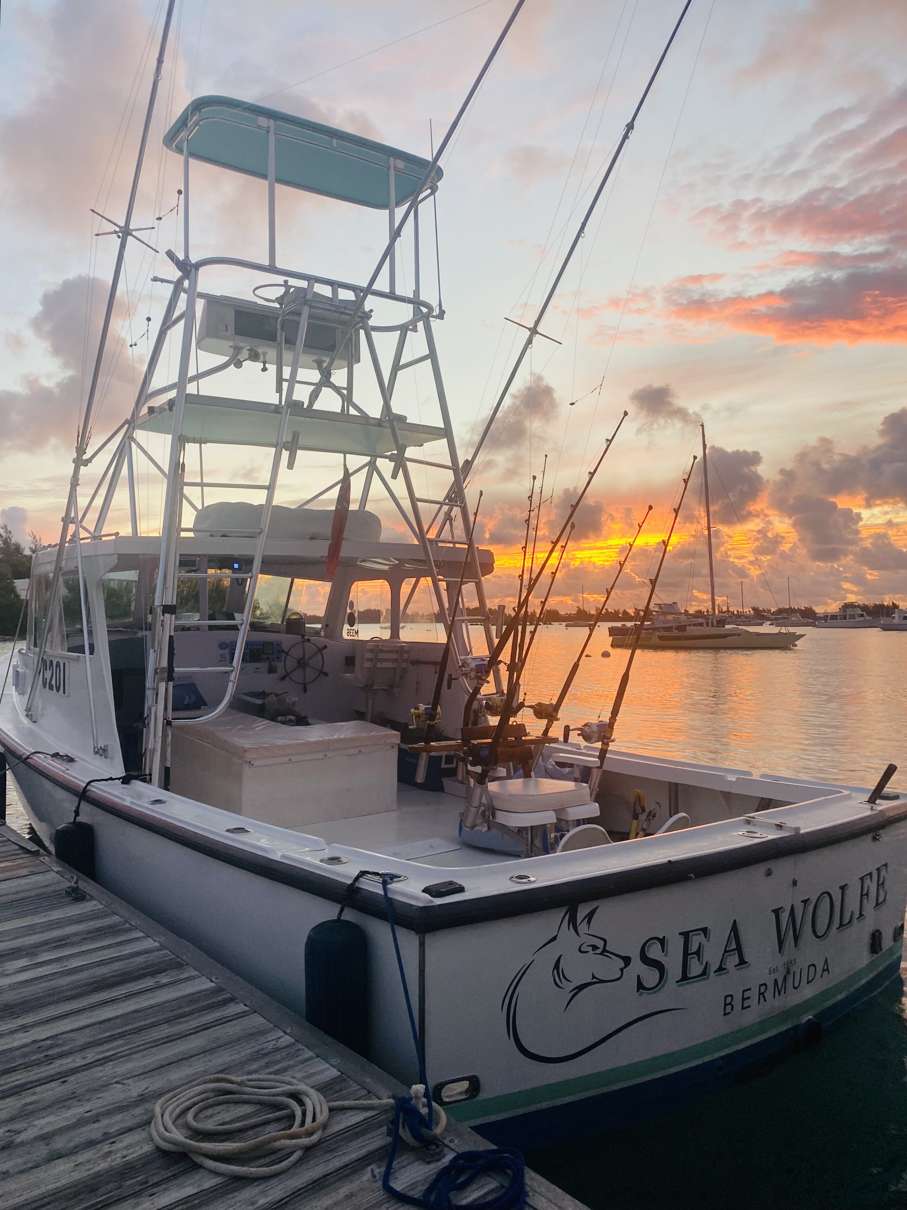 Sea Wolfe Sportfishing  Charters