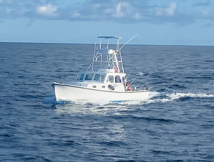 Sea Wolfe Sportfishing  Charters