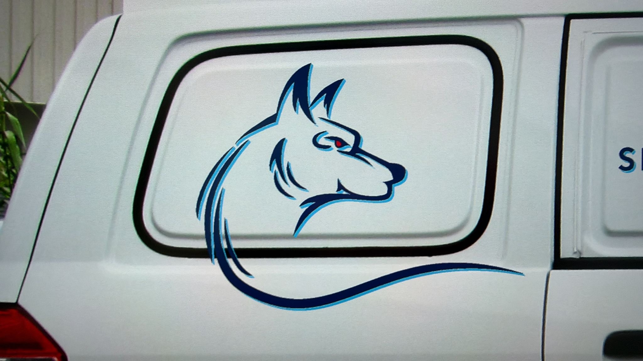 Sea Wolfe Sportfishing  Charters