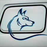 Sea Wolfe Sportfishing  Charters