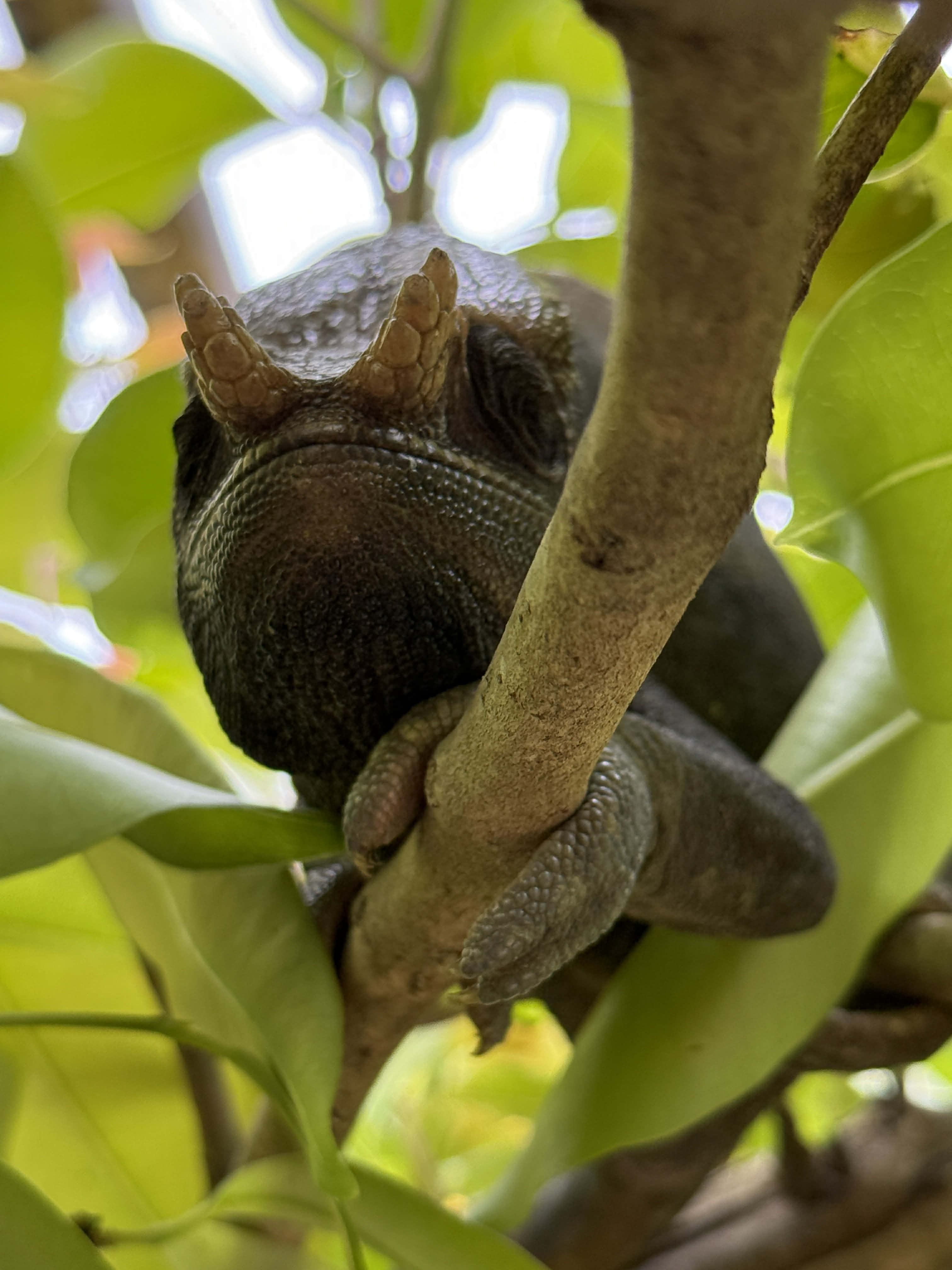 MADAGASCAR UNIQUE DISCOVERY TOURS (MUDT)