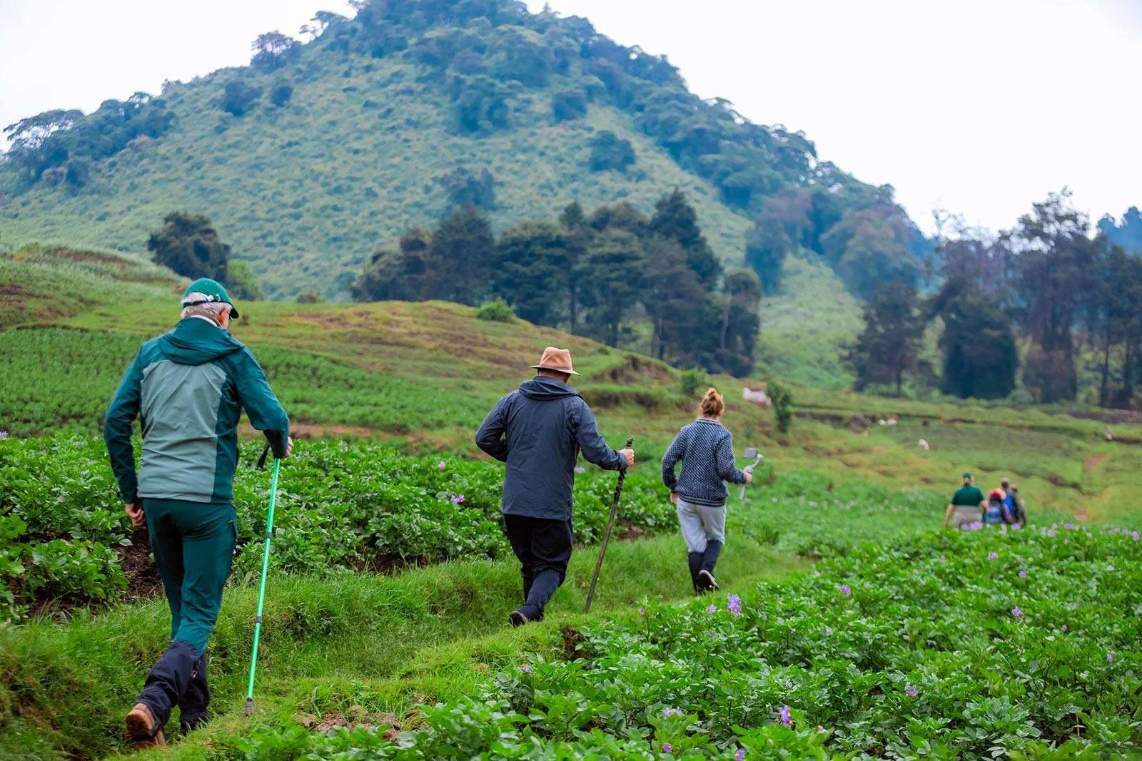 Go Safaris Africa Ltd