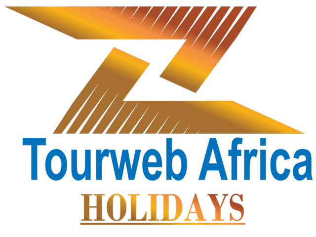 Tour Web Africa Holidays