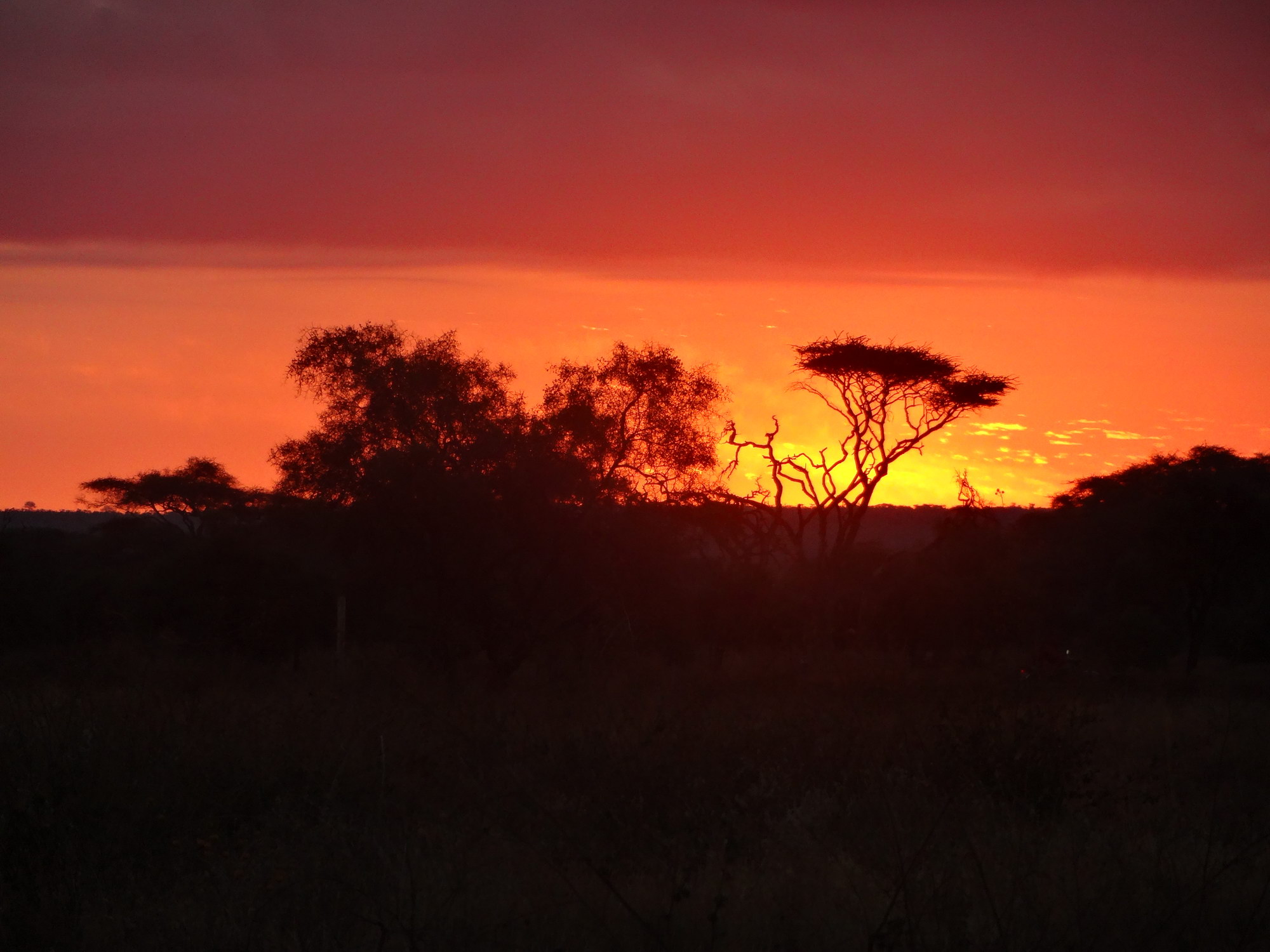 Tour Web Africa Holidays