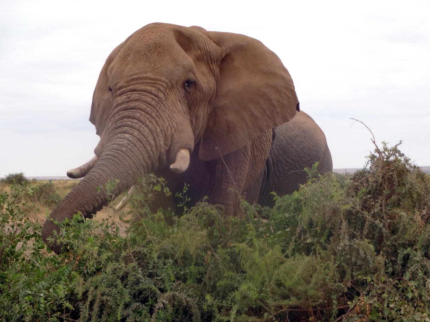 Tour Web Africa Holidays