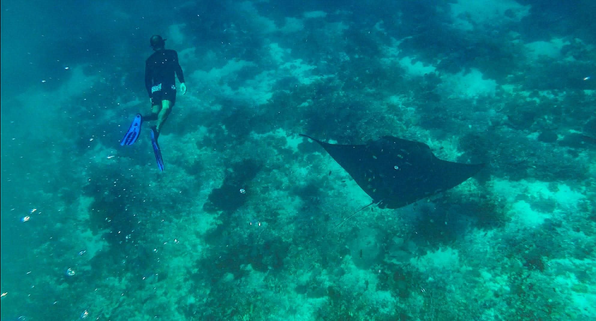 BEYOND KOMODO TOUR