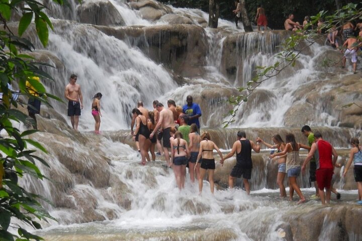 Ellis Tours and Transfers Jamaica