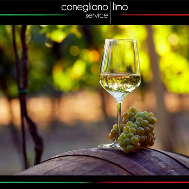 Conegliano Limoservice