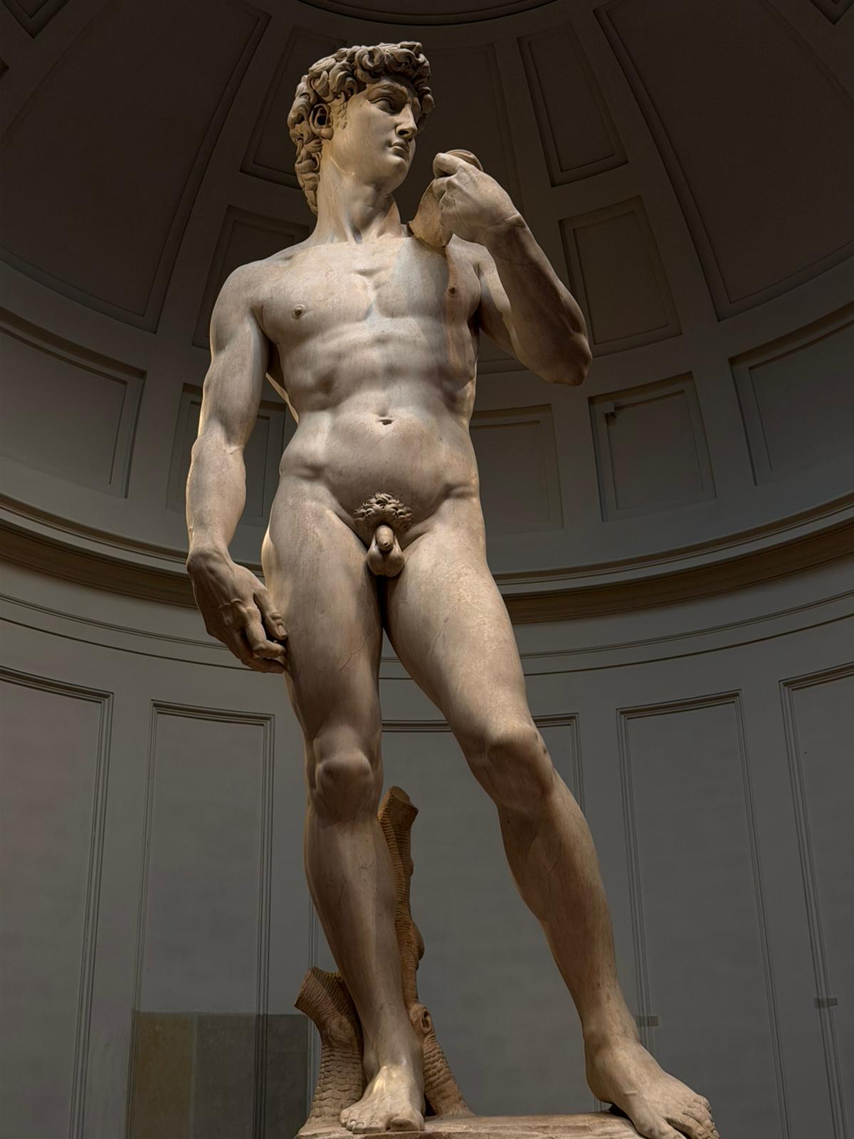 Florence Elite Tours
