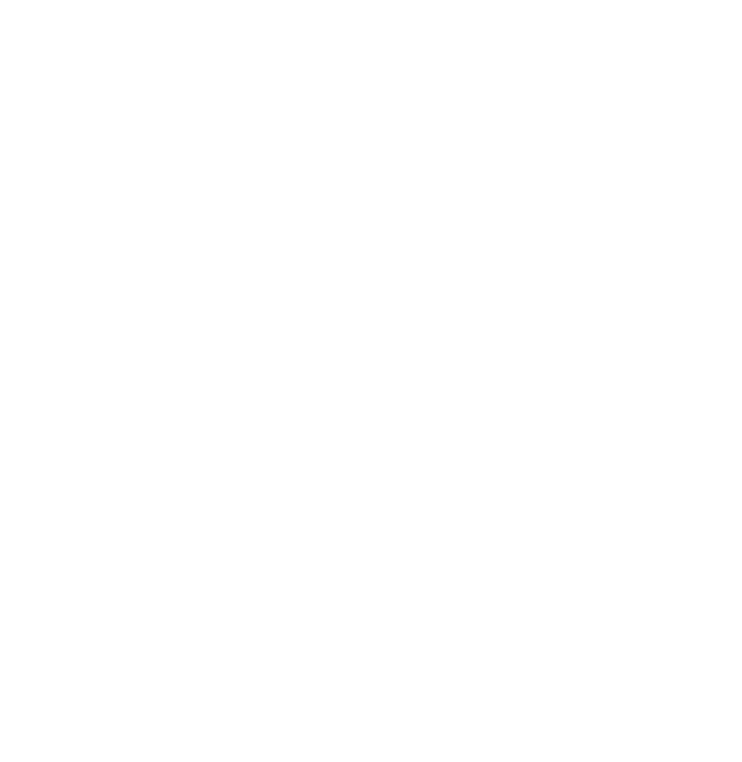 SALAS TRAVEL TOURS SCRL