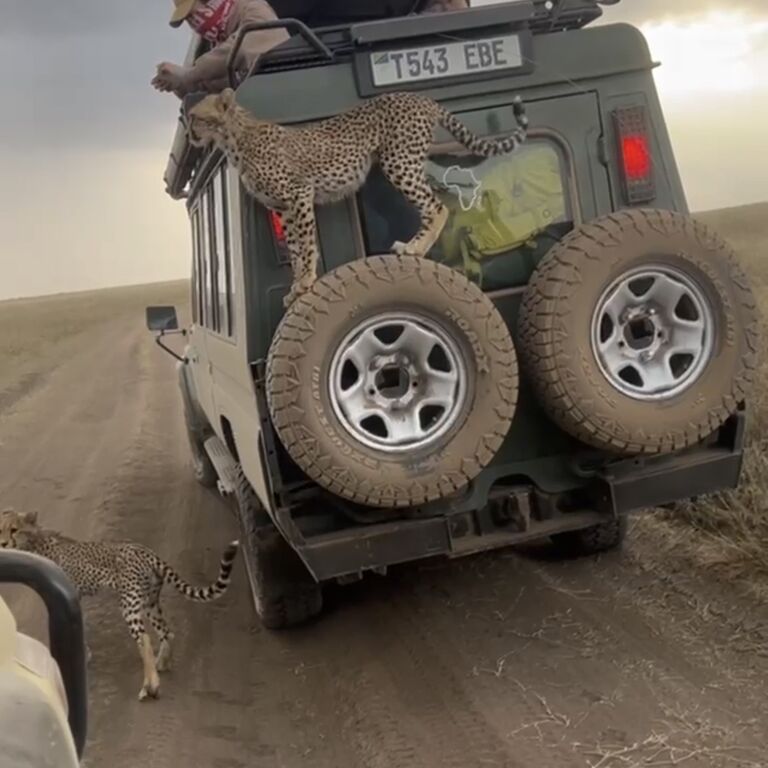Panga the adventure Safari