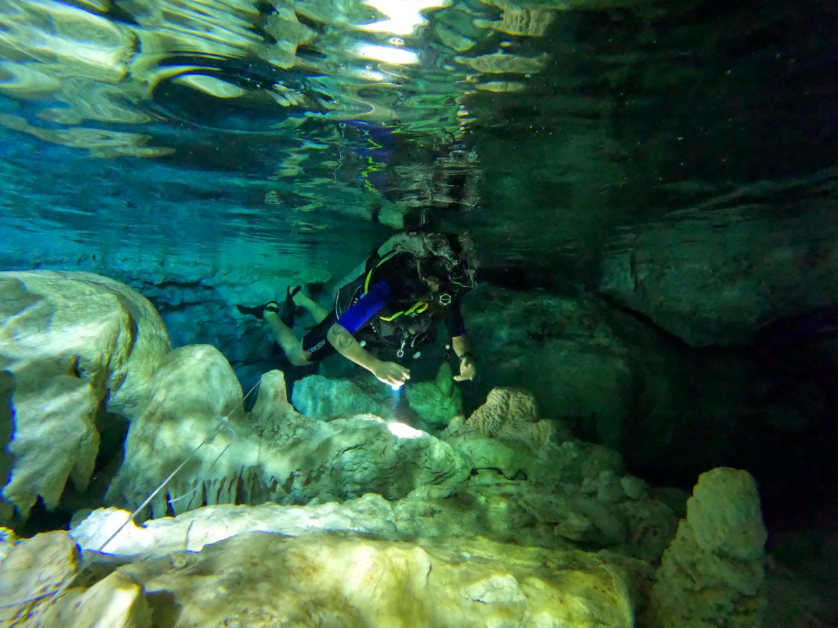 Scuba ID