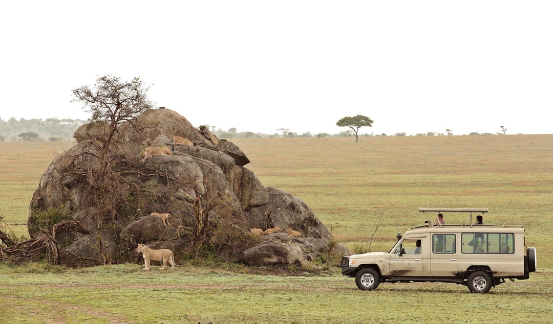 Resma Safaris & Adventures