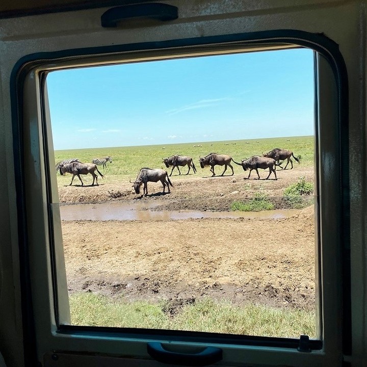 Resma Safaris & Adventures