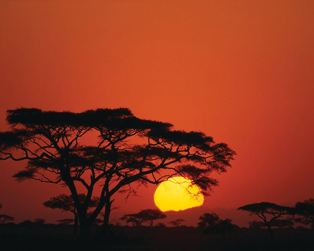 Resma Safaris & Adventures