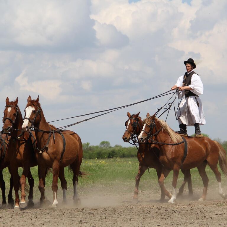 Bugac Stud Farm