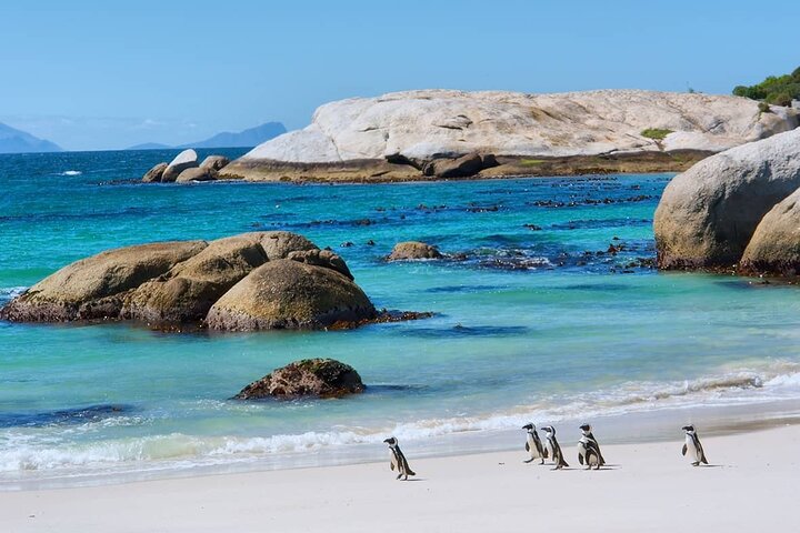 Jay Jay's Scenic Tours