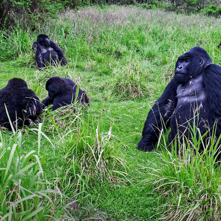 Gap Travels Uganda