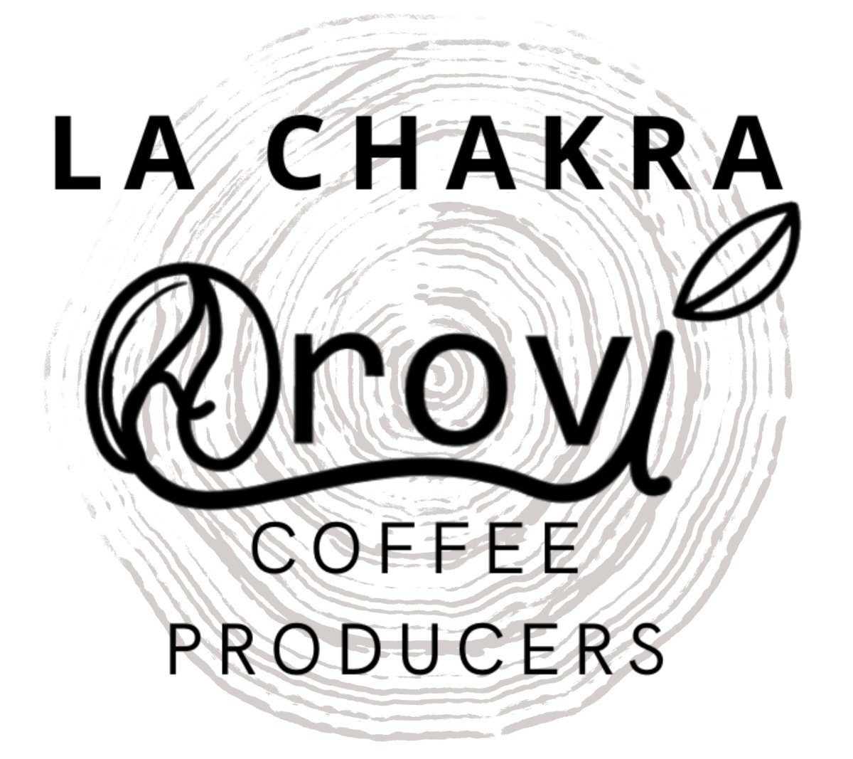 AROVI / CURLY by AROVI