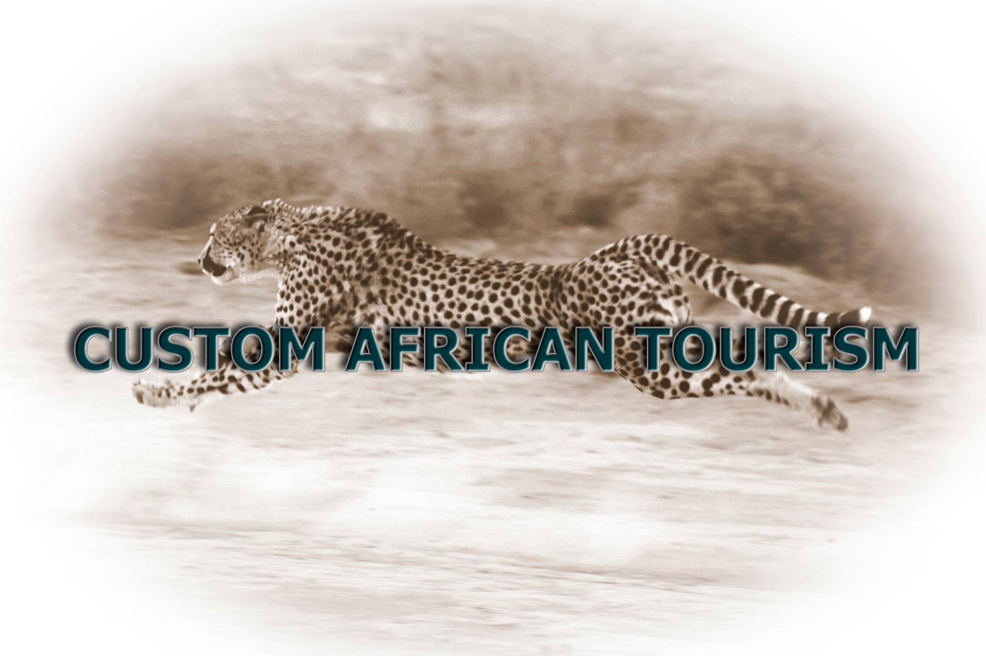 Custom Africa Travel & Tours