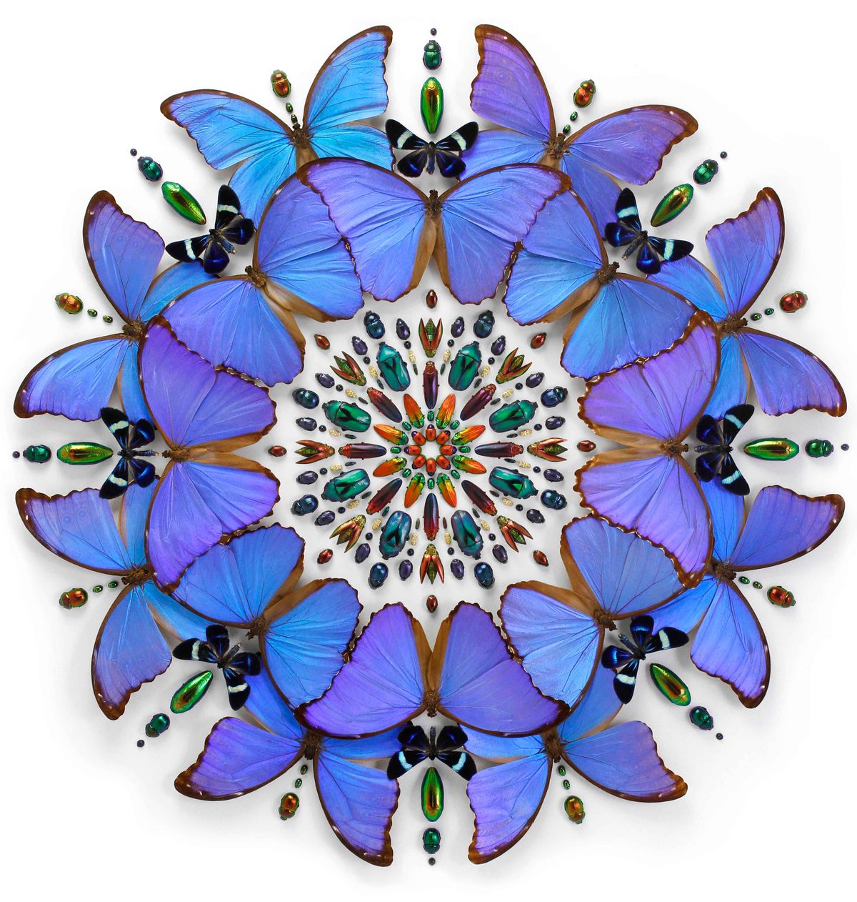 Exquisite Creatures Exhibit