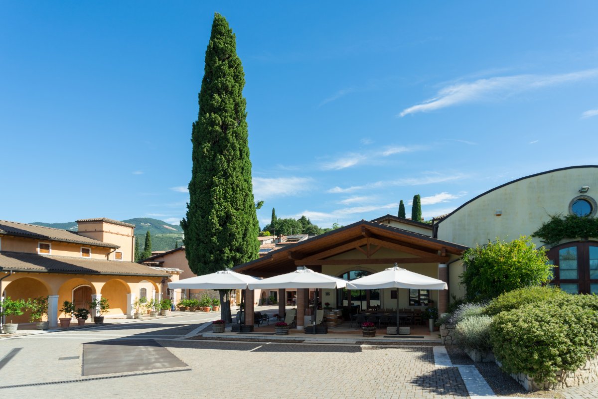 VALENTINA CUBI Organic Winery