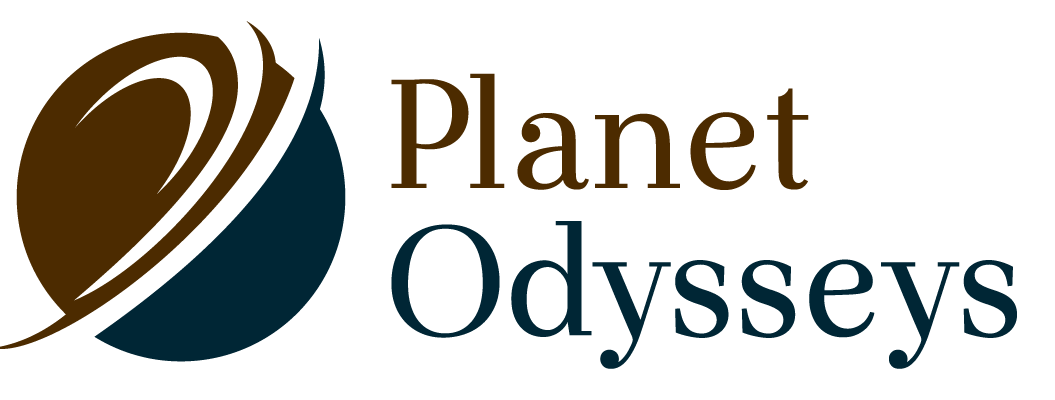 Planet Odysseys